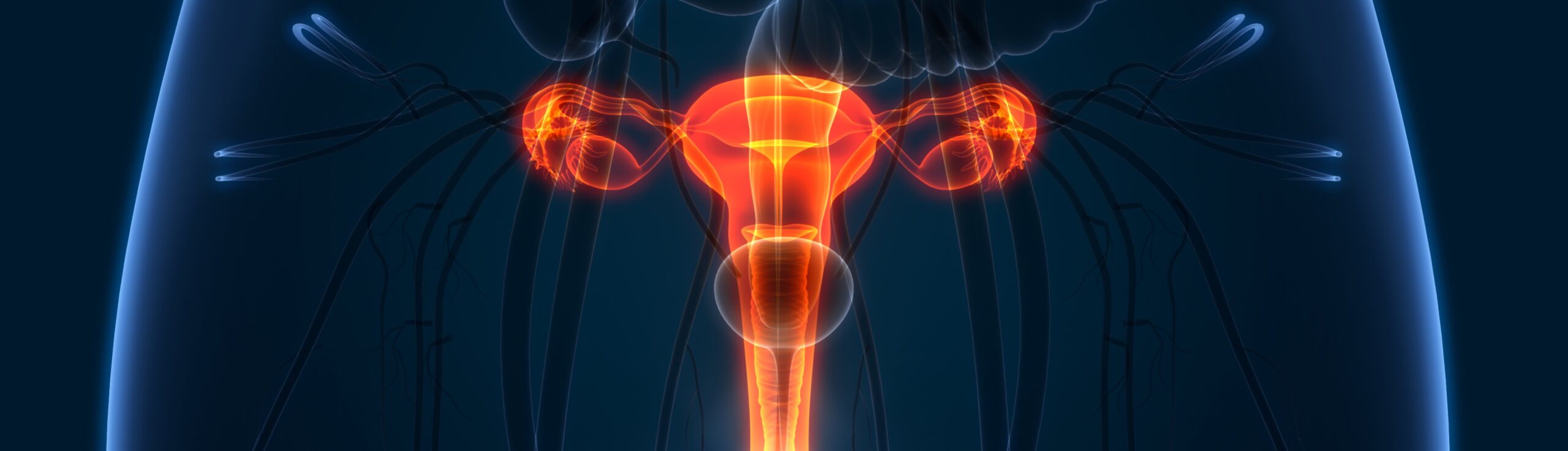 L’impact de l’embolisation utérine sur la fertilité avec le Dr Laouisset | Val-de-Marne